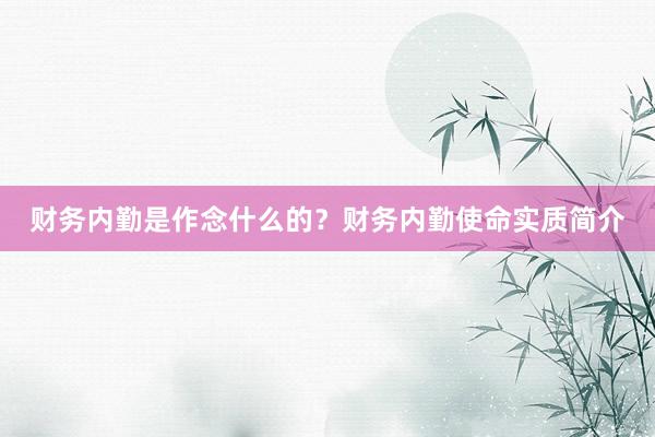 财务内勤是作念什么的？财务内勤使命实质简介