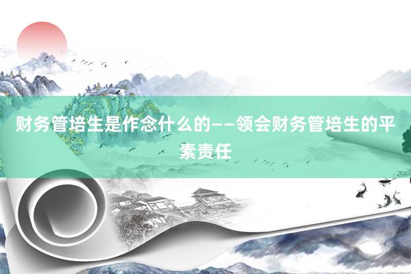 财务管培生是作念什么的——领会财务管培生的平素责任