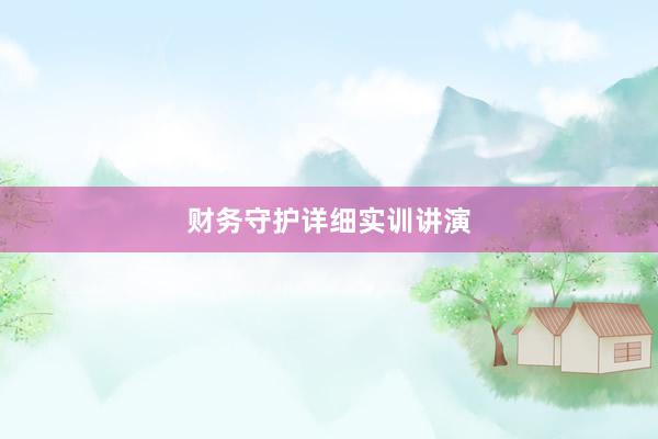 财务守护详细实训讲演