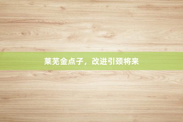 莱芜金点子，改进引颈将来