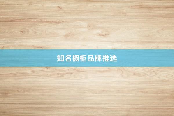 知名橱柜品牌推选