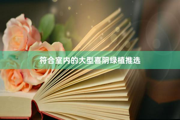 符合室内的大型喜阴绿植推选