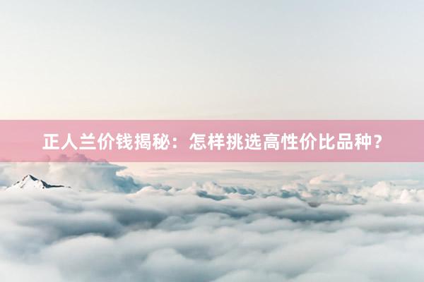 正人兰价钱揭秘：怎样挑选高性价比品种？