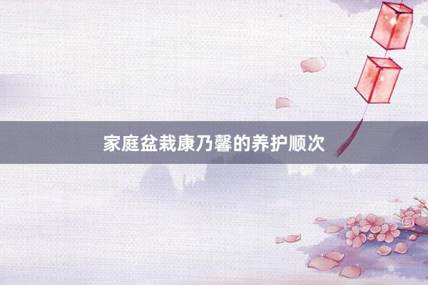 家庭盆栽康乃馨的养护顺次